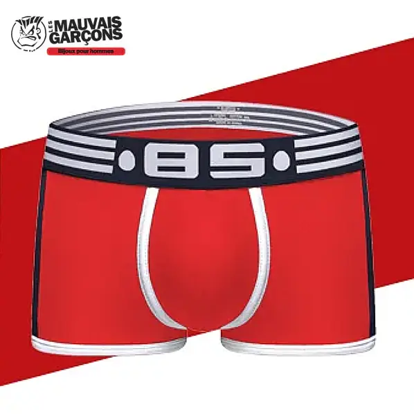 Boxer BS Collection